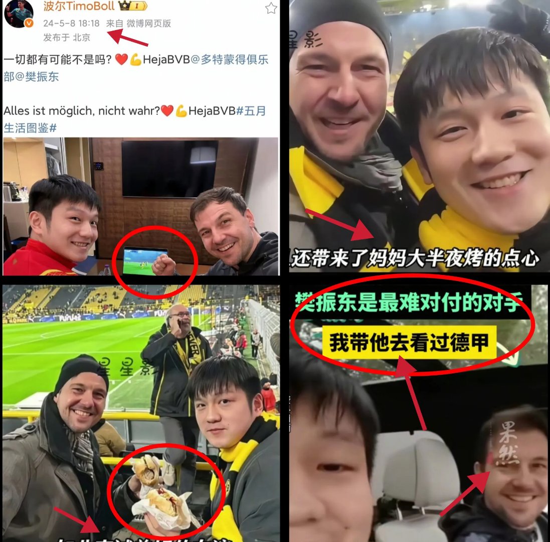 包含中国乒乓球队强势奥地利乒乓球队，波尔统治全场的词条