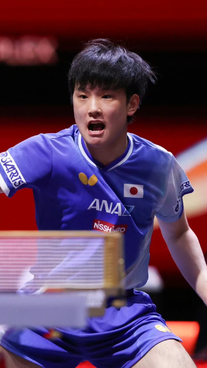 英国乒乓球队轻取奥地利乒乓球队,张本智和爆发神勇 英国乒乓球队轻取奥地利乒乓球队,张本智和爆发神勇