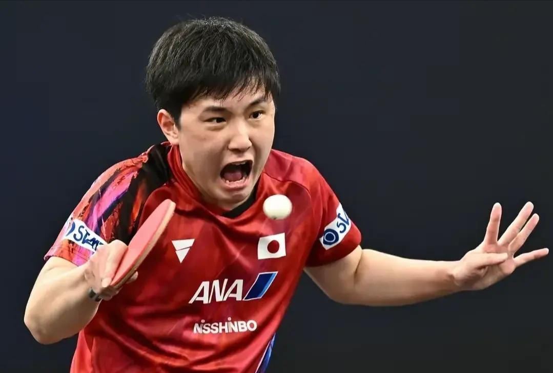 英国乒乓球队轻取奥地利乒乓球队,张本智和爆发神勇 英国乒乓球队轻取奥地利乒乓球队,张本智和爆发神勇
