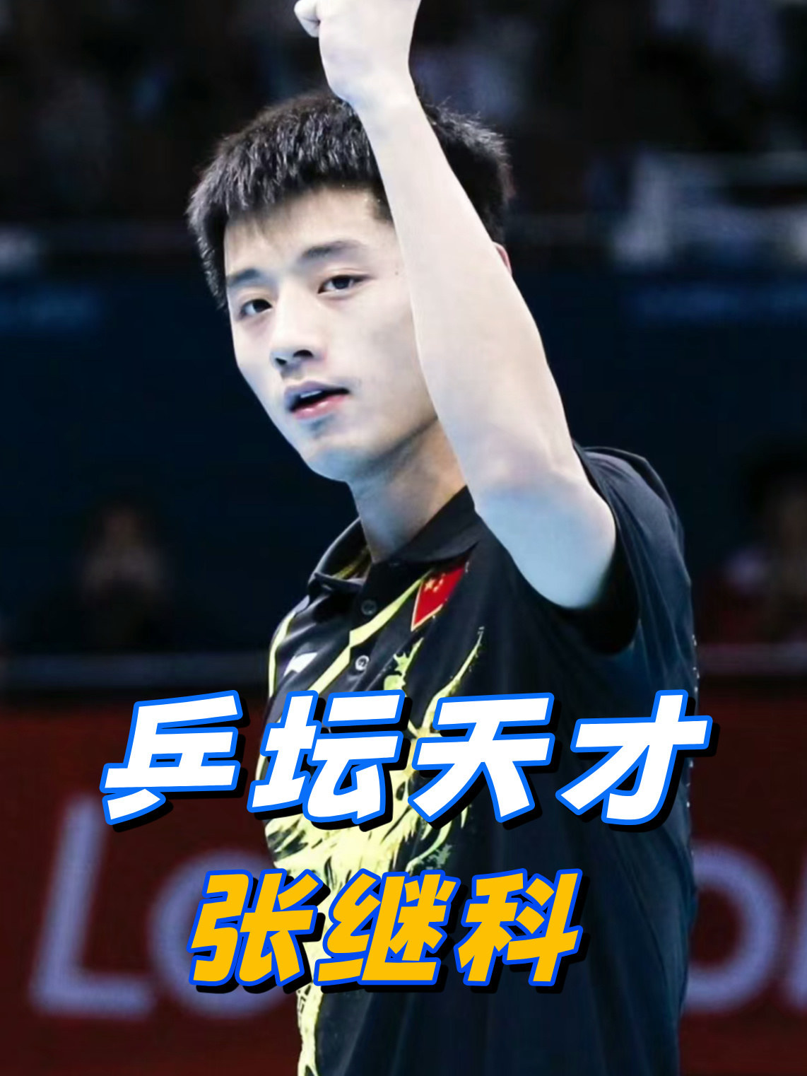 法国乒乓球队碾压比利时乒乓球队,张继科高光表现 法国乒乓球队碾压比利时乒乓球队,张继科高光表现