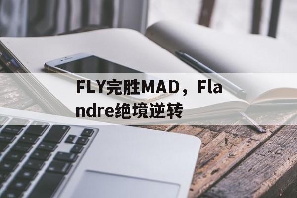 FLY完胜MAD,Flandre绝境逆转 FLY完胜MAD,Flandre绝境逆转
