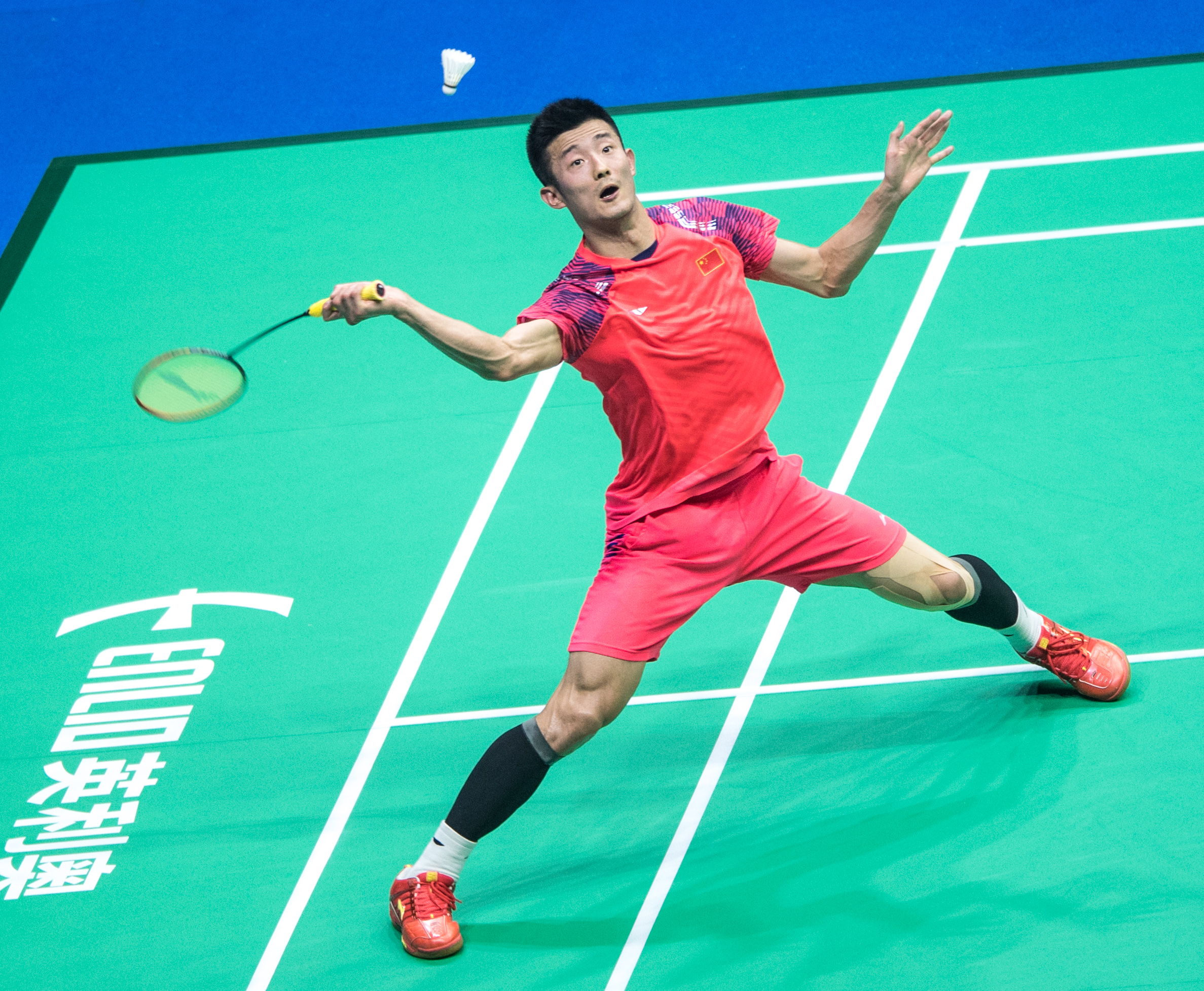 法国羽毛球队横扫印度羽毛球队，谌龙一己之力扛起全队的简单介绍