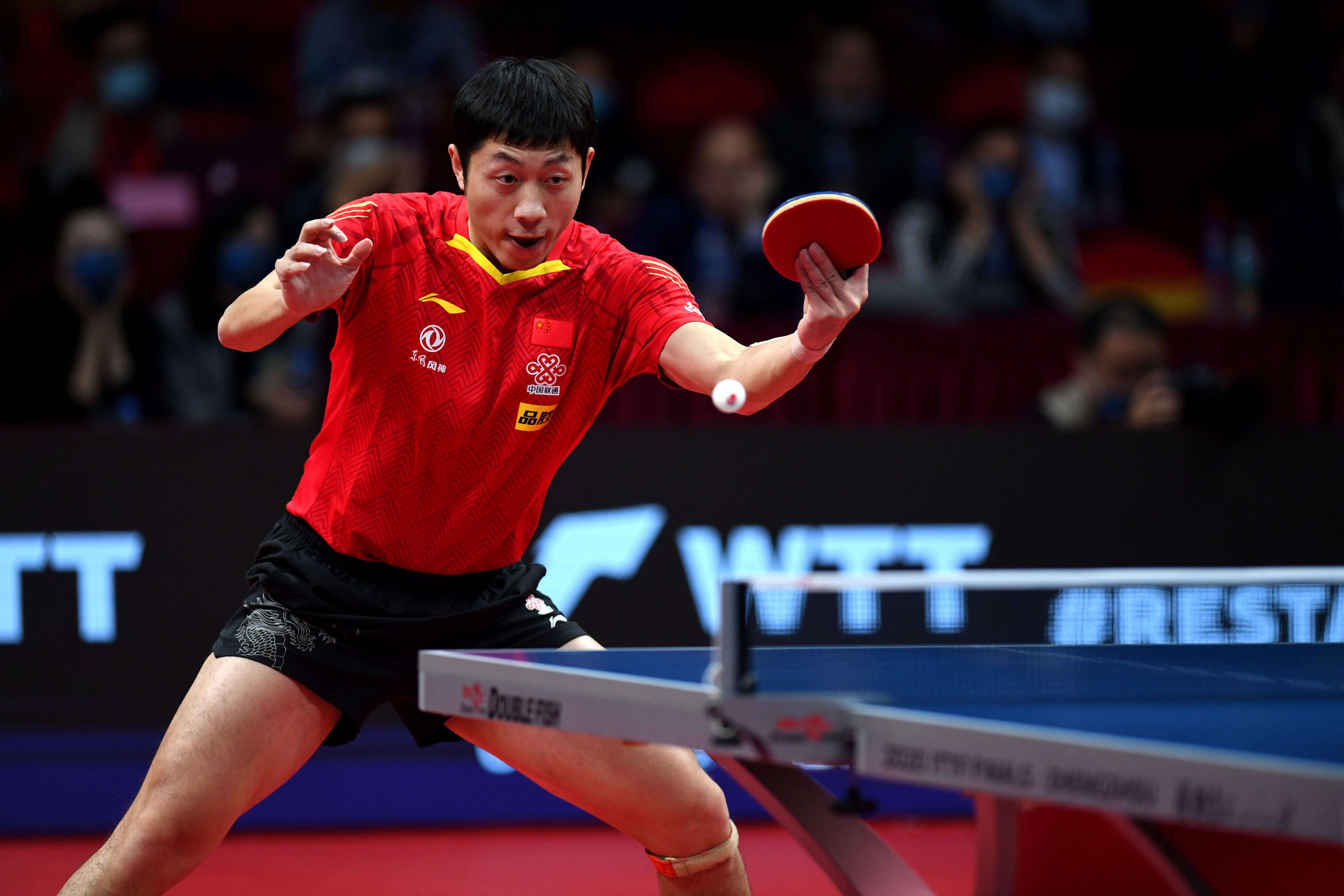 法国乒乓球队绝地反击比利时乒乓球队，许昕高光表现