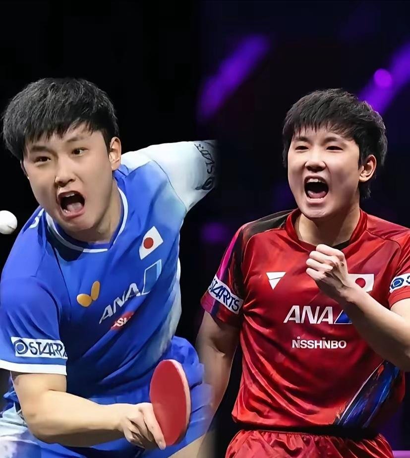 波兰队险胜葡萄牙队，张本智和惊艳四座