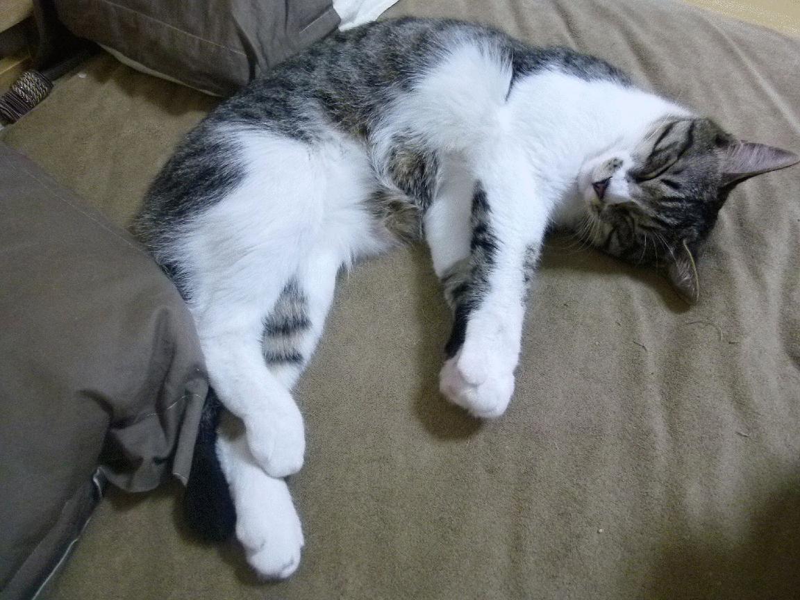 王皓，淬炼逆转的火焰之心