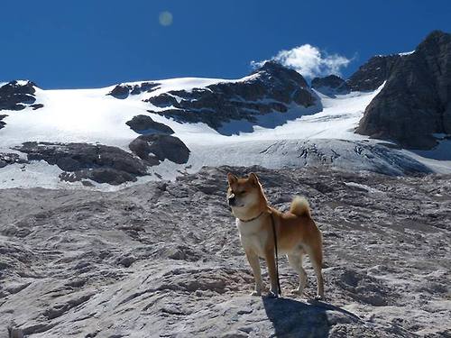 棋盘上的峡湾闪电，当本泽马式灵感撕裂瑞典铁壁