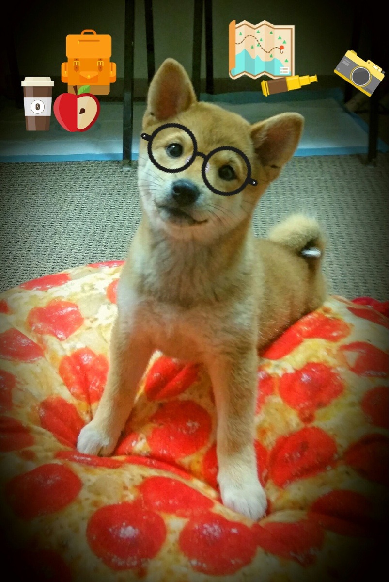 拉沃尔杯险胜戴维斯杯，新旧王权的激烈碰撞—而纳达尔，正燃起最烈的火