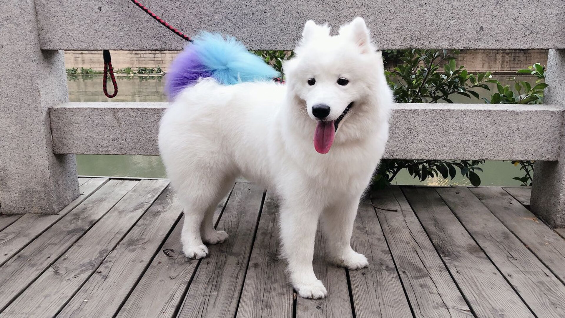 多维巨星闪耀，猛龙铁血压制火箭，爱德华兹在意甲焦点战接管比赛