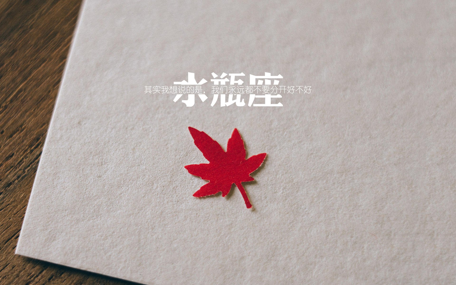 独步棋盘，东契奇对阵猛龙演绎完美掌控