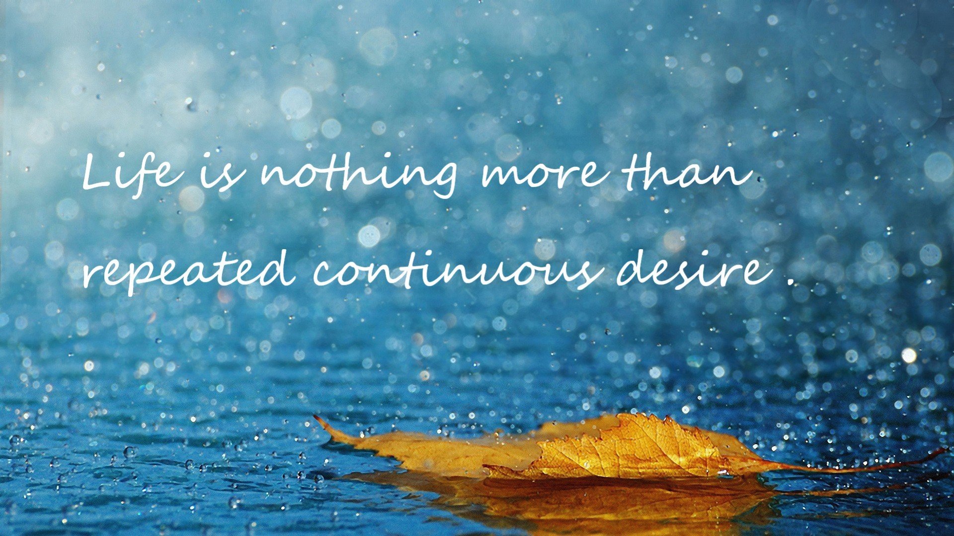 菜鸟不惧鹰,爱德华兹关键一投,汽车城听见新引擎轰鸣