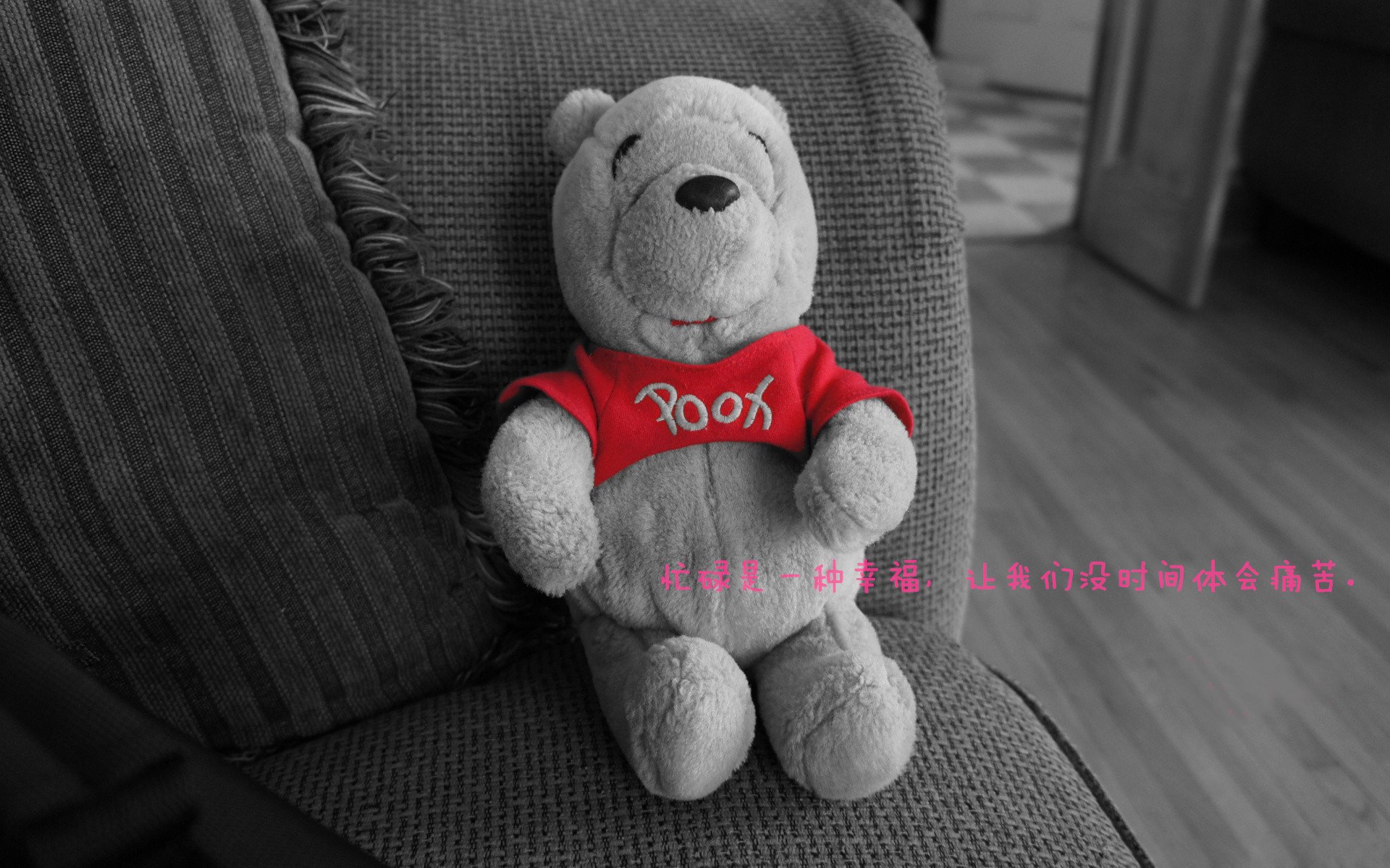 不同项目，相同法则，当福克斯接管德比，鹈鹕横扫广厦，超级球星写下唯一答案