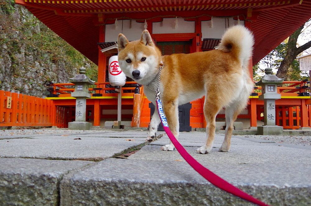 龙舌兰击碎大理石，墨西哥特奥蒂瓦坎防线令圣西罗沉默，萨内赛后评分拉满诠释现代边锋答案