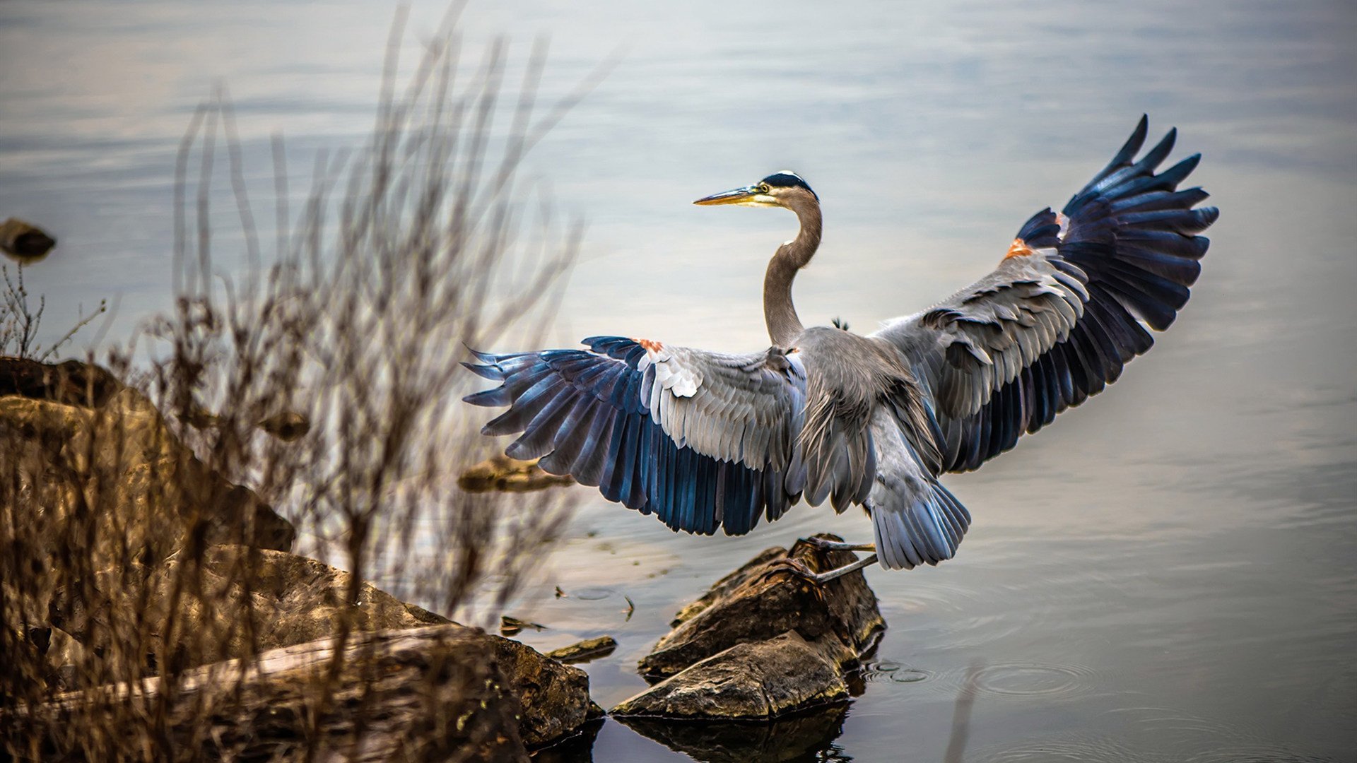 墨西哥奇迹,曼联败北,凯恩关键时刻闪耀