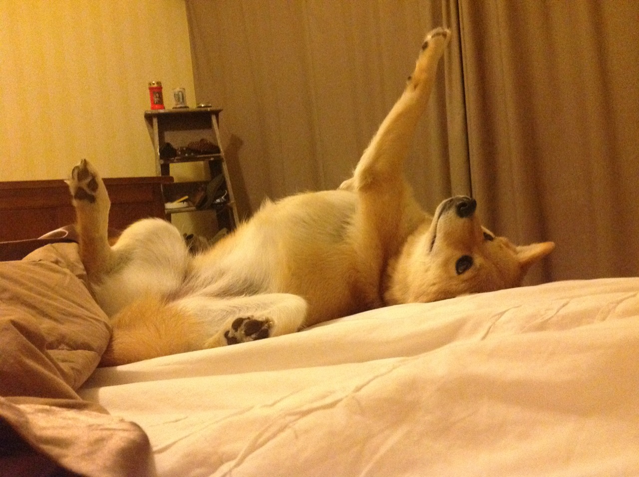 血脉压制!英格拉姆47+11+8打崩吉林防线,黄蜂客场惊险过关