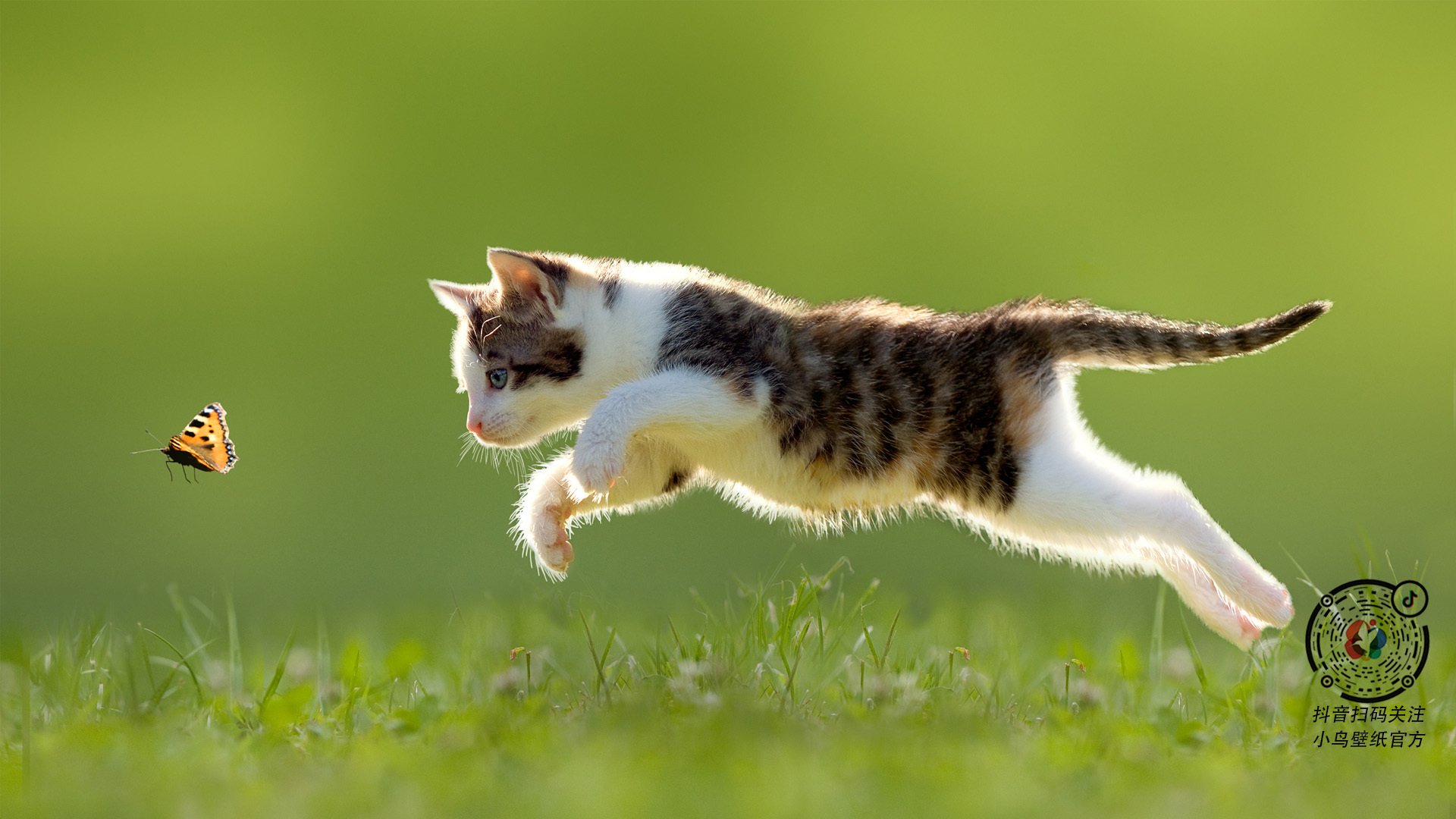 篮球的终极悬念，足球巨星的指尖风云