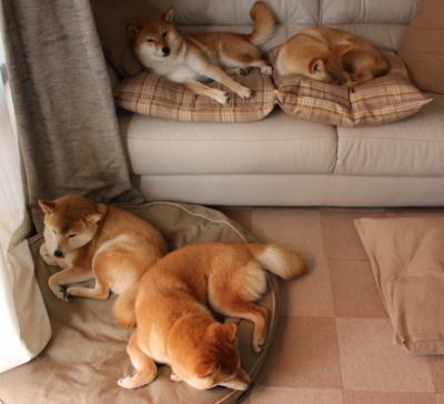 双星耀战场，勇士三分雨浇灭湖人，班凯罗独秀魔术舞台