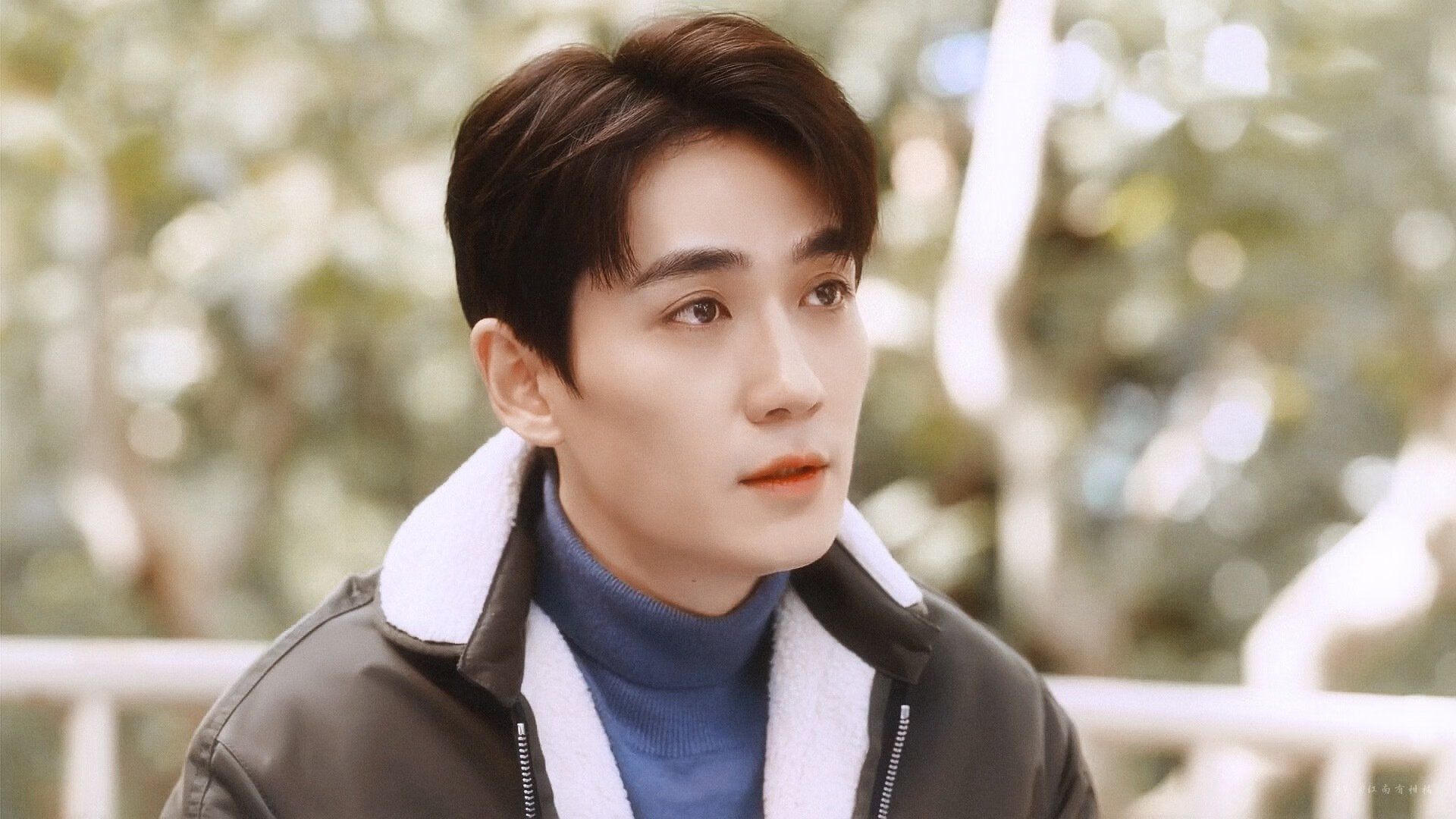 迪亚斯爆发力挽狂澜，南非强行终结新西兰不败神话