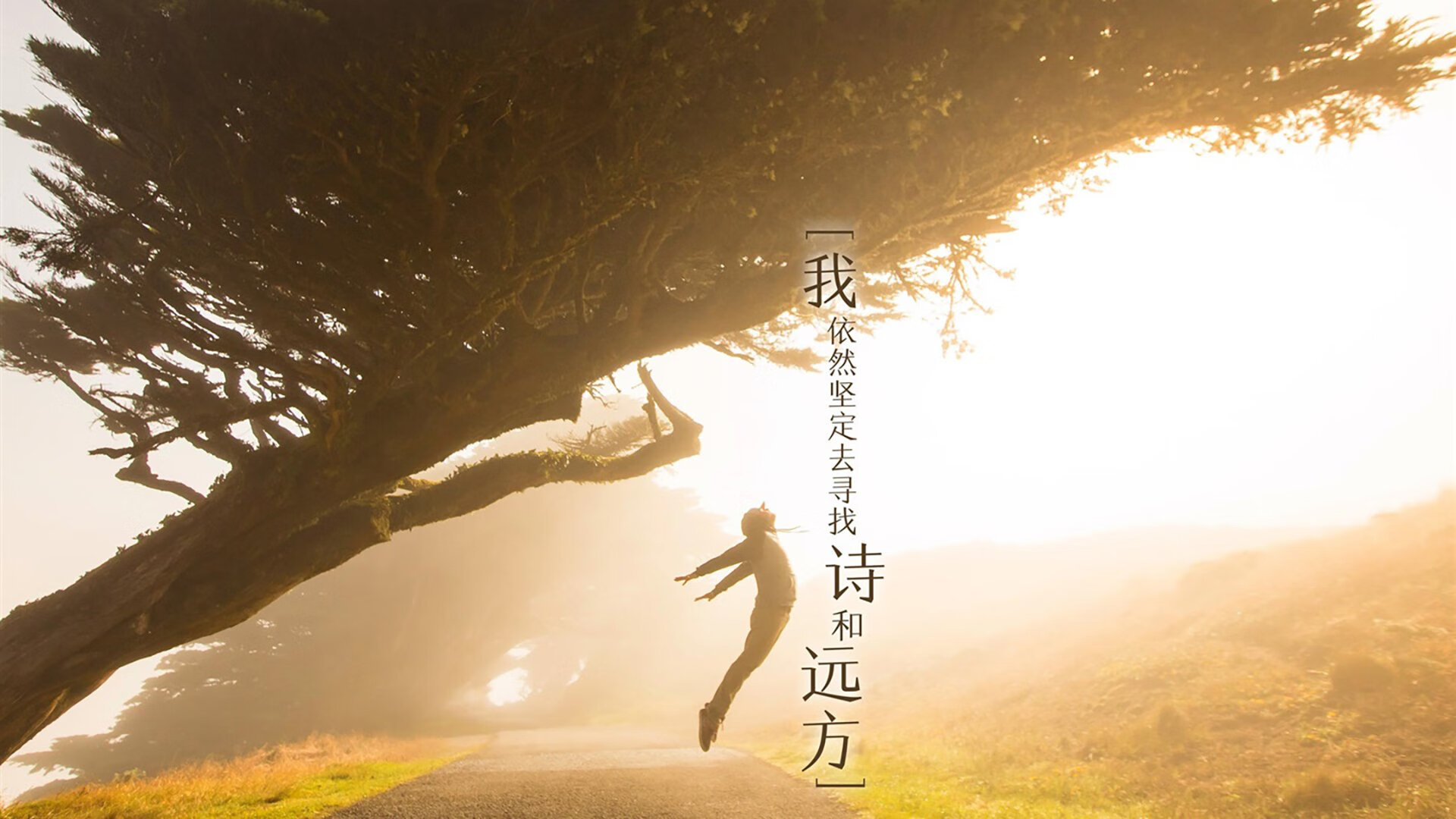 秩序之巅与颠覆之夜,当德甲王座之争遇见NBA的爆冷美学