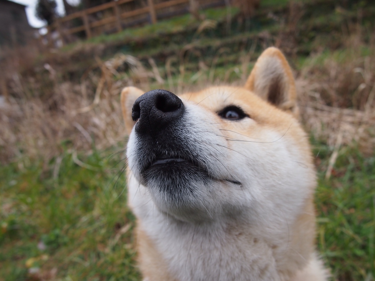 火热的战意与冰凉的球场，当苏亚雷斯在晨曦中击球，尼日利亚少年正走过巴格达的黄昏