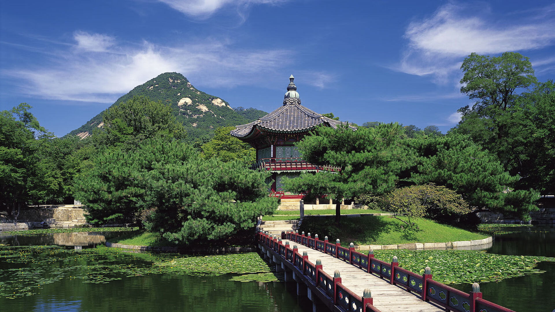 生死边缘的91秒神迹！保罗最后一击暴露灰熊致命弱点，猛龙逃出生天！