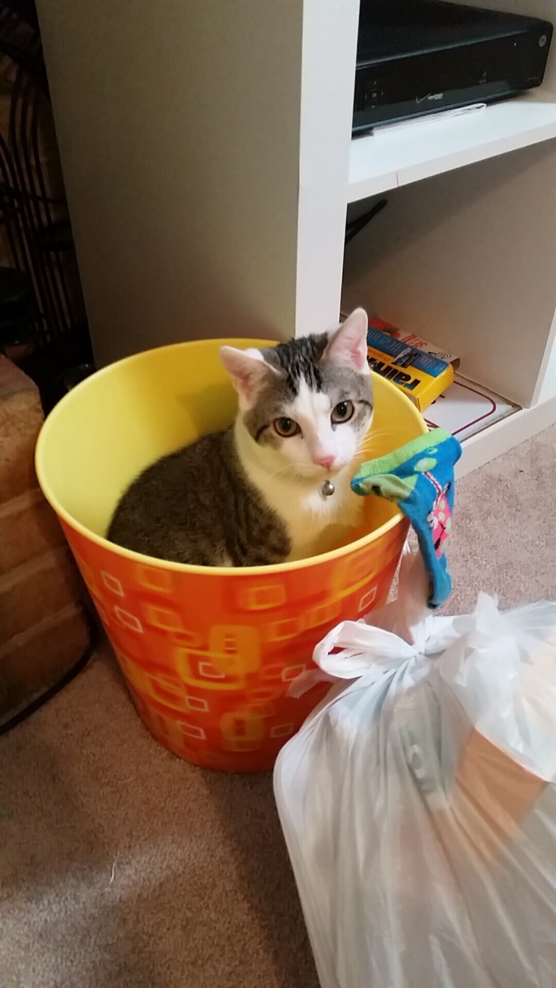 锡安节奏完控全场 绿衫军末节风暴席卷浙江